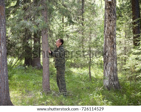 Foresters visiting a tree damaged by a brown bear in the Siberian taiga. Scratches on the trunk of the pine left by the claws of the brown bear.