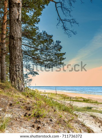 Similar – Image, Stock Photo wild Baltic coast in Poland