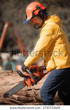 Forestry with chainsaws, an image of primary industries Cutting timber (Tama Timber Center Cooperative Property Permission Granted)	