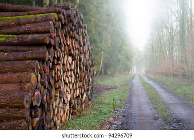 forestry district