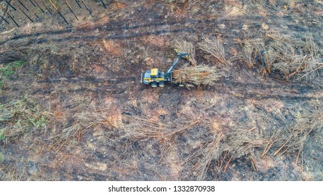 Forestry Forwarder Is Cleaning Up A Huge Harvested Forest Area - Aerial View 