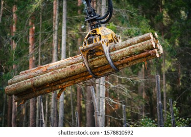 Forestry Forwarder Is Loading Logs In A Pile In Forest