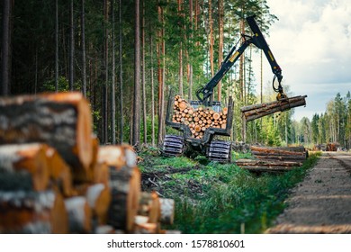 Forestry Forwarder Is Loading Logs In A Pile In Forest