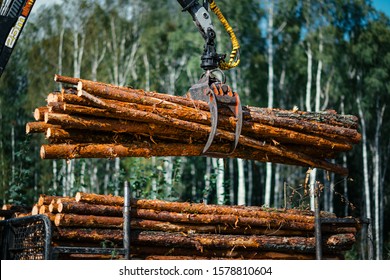 Forestry Forwarder Is Loading Logs In A Pile In Forest