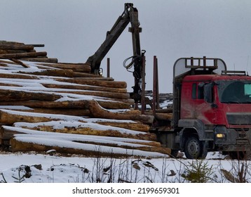 Forestry Industry. Timber Yard. Operations For Loading-unloading Logging Truck With Roundwood (pine). Wheel-mounted Loader, Round-timber Grab. Winter Cutting Area