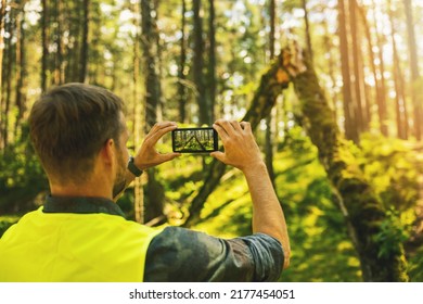 forestry inspector at a forest inspection. taking picture of a fallen tree with phone