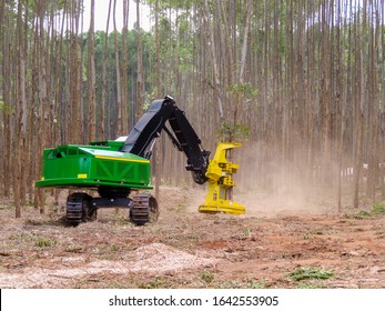 Forestry Logging Equipment Harvesting Tree