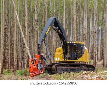 Forestry Logging Equipment Harvesting Tree