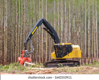 Forestry Logging Equipment Harvesting Tree