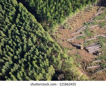 Forestry Plantations Aerials