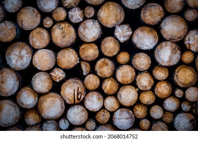 Forestry, raw material wood or timber trade concept. Freshly felled wood is piled up in a forest in Saxony (Germany).
