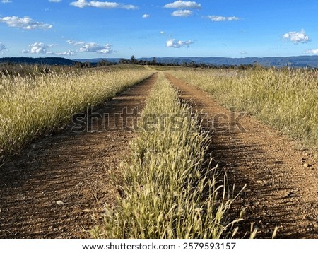 Forestry road ontop of Range
