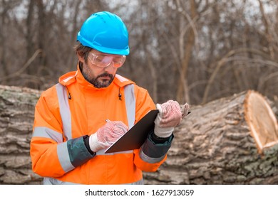 Forestry technician collecting data notes in forest during logging process