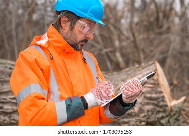 Forestry technician collecting data notes in forest during logging process