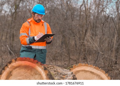 Forestry technician collecting data notes in forest during logging process