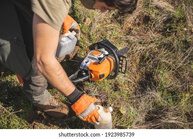 Forestry Technician Pruning Holm Oak Tree With Chainsaw In The Field. Forest Agent ,ecological Manager Of The Environment .