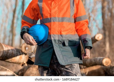 Forestry technician using digital tablet computer in forest for logging data collecting during deforestation