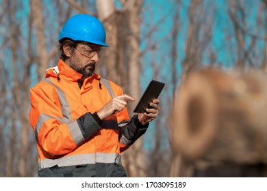 Forestry technician using digital tablet computer in forest for logging data collecting during deforestation