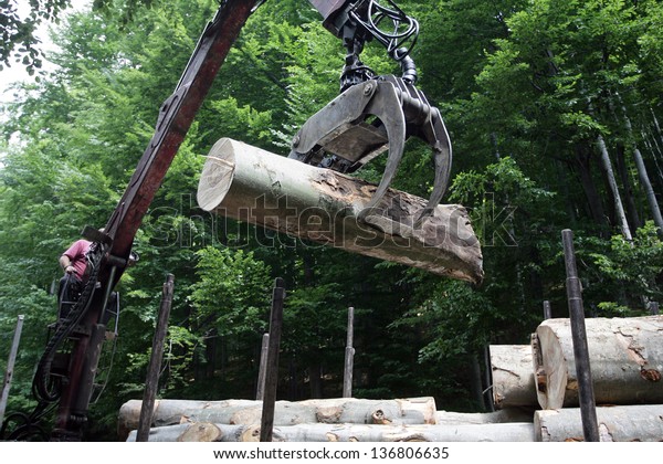 Forestry\
tree workers in the loading of logs with a\
crane