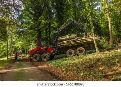 Forestry Work At Biel, East Lothian, Scotland.