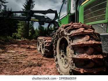 Forestry Work And Timber Processing In Scotland