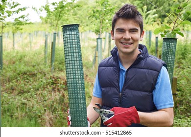 Forestry Worker Caring For Young Trees - Powered by Shutterstock