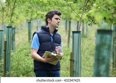 Forestry Worker With Clipboard Checking Young Trees