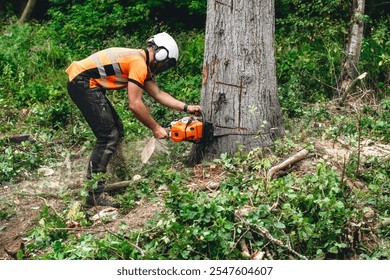 A forestry worker fells a tree in a forested area while wearing safety gear during daylight hours - Powered by Shutterstock