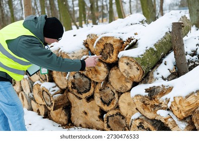 Forestry worker inspecting a stack of cut timber logs for firewood sale in a snowy winter forest. Forester evaluating the quality of harvested logs and woods stacks during a forest inspection.	