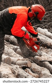 Forestry worker sawing tree trunks with chainsaw