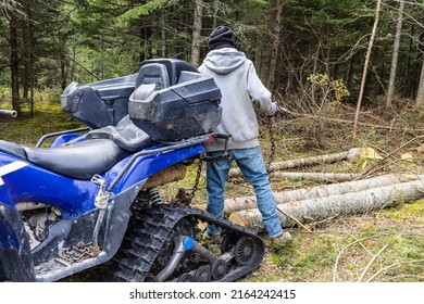 Forestry Worker Is Seen From The Rear, Standing Behind A Blue Quad Bike, Holding Towrope Chain Used To Move Cut Down Trees In Woods. With Copy Space.