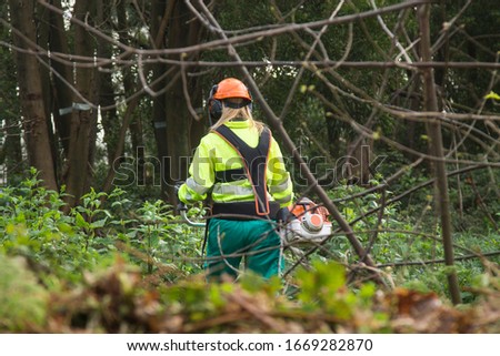 Forestry worker In the woods