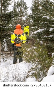 Forestry workers walking through dense snowy forest after workday, high visibility safety gear, winter forestry labor and teamwork
