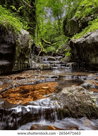 Forests of the Baztan Valley (Navarra, Spain)