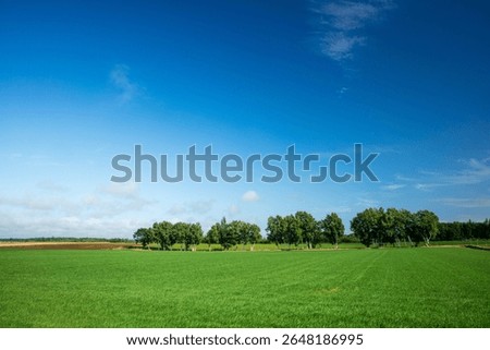 Forests and fields under the blue sky