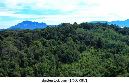 Forests And Mountains In West Kalimantan