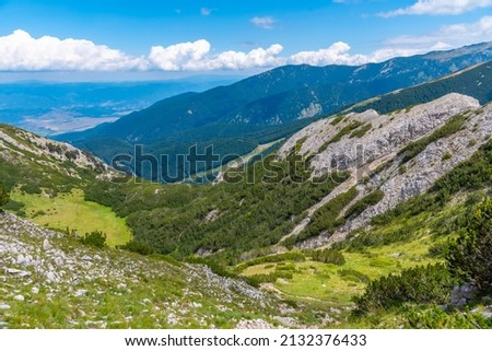 forests spreading on hills of Pirin national park in Bulgaria