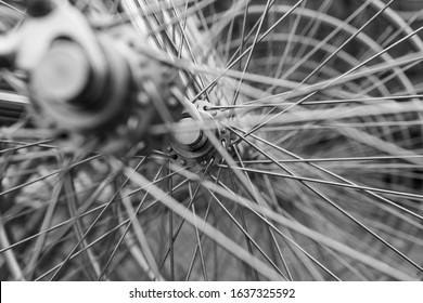 Forever Bicycles Sculpture In Austin