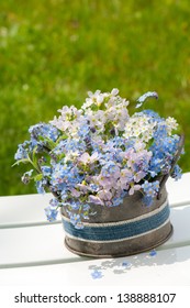 Forget-me-not