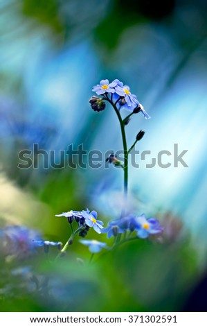 Similar – Image, Stock Photo shining blue Exterior shot