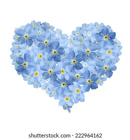 Forgetmenot Heart And White Background