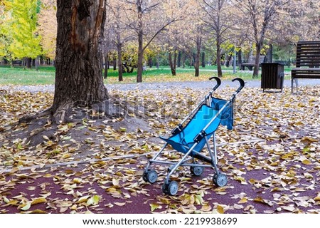 a forgotten stroller in the park in autumn. the toy stroller is empty on the playground                              