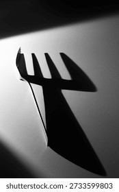 A fork and its dramatic shadow in a high-contrast black and white composition. A conceptual minimalist photograph expressing themes of identity, duality, consciousness, and inner reflection.