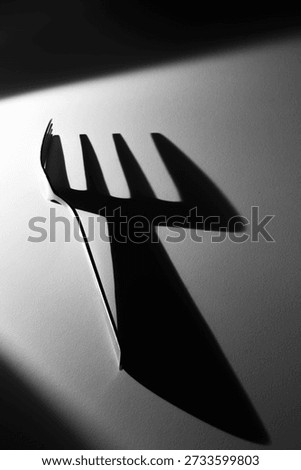 A fork and its dramatic shadow in a high-contrast black and white composition. A conceptual minimalist photograph expressing themes of identity, duality, consciousness, and inner reflection.