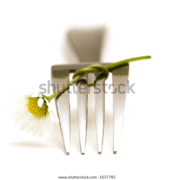 Fork Flower Stock Photo 1637785 Shutterstock