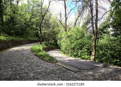 Fork In A Forest Road Between An Uphill Paved Road And An Asphalted Downhill Road