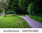 Fork of a muddy path into two at Haagse Bos, forest in The Hague, Netherlands, Europe