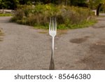 Fork in the road