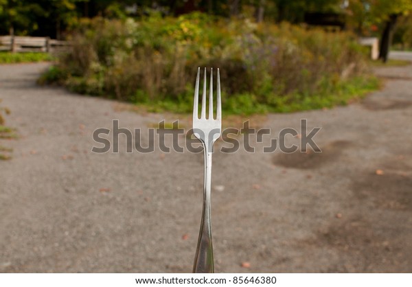 Fork in the\
road
