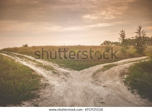 Fork\
in the road. A country road splits in two, making a\
decision-requiring fork in the road. Concept\
image